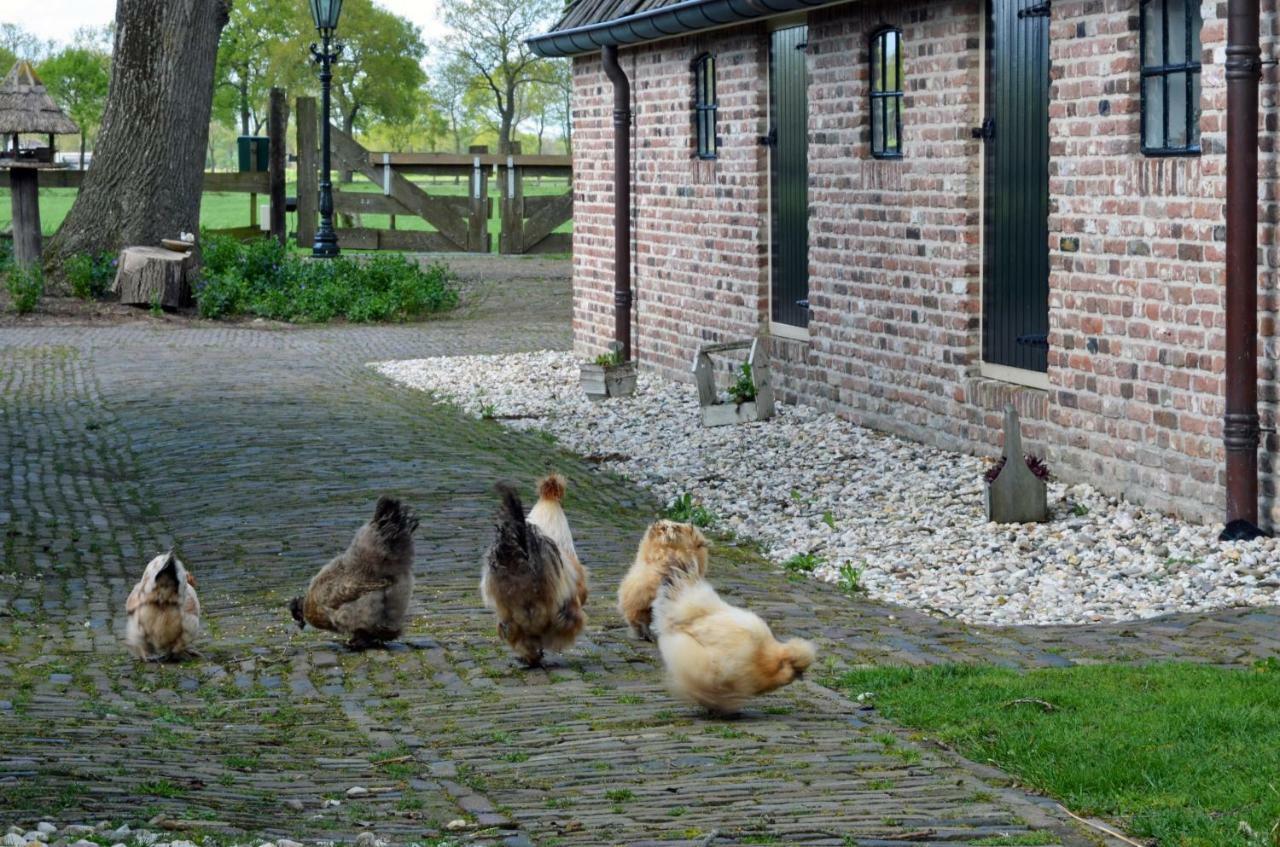 B&B De Kloosterhoek Dedemsvaart Dış mekan fotoğraf