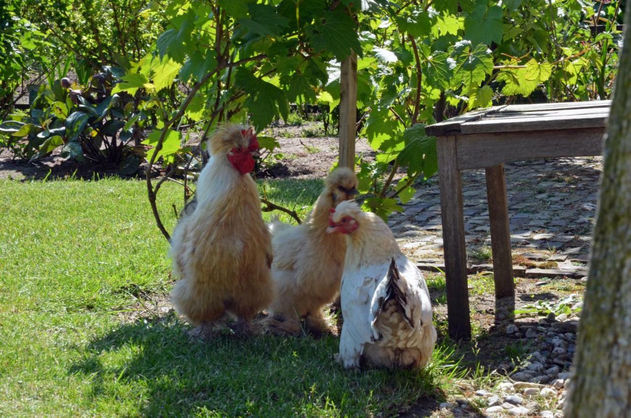 B&B De Kloosterhoek Dedemsvaart Dış mekan fotoğraf